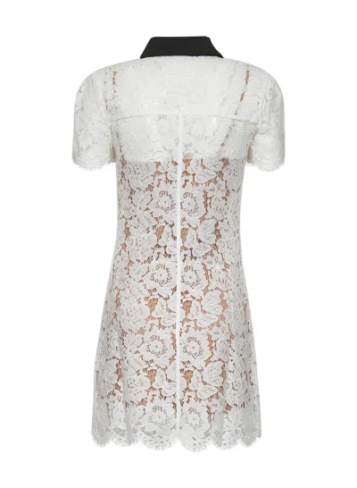 Self-portrait Self Portrait Women White Floral Lace Mini Dress