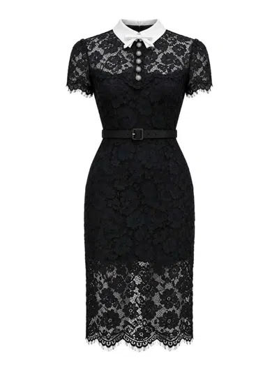 Self-portrait Black Lace Contrast Collar Midi Dress
