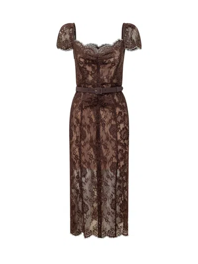 Self-portrait Floral Midi Dress For Fall 2026 In Brown