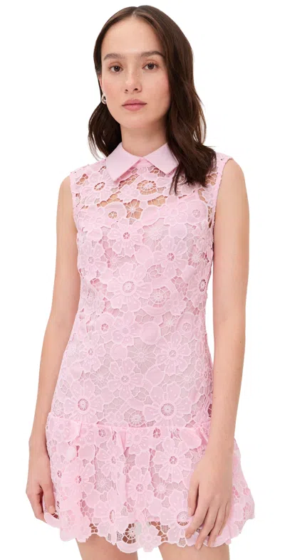 Self-portrait Pink Lace Collared Mini Dress In Multi