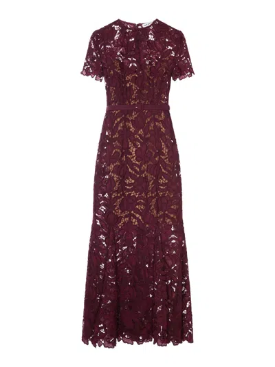 Self-portrait Midi Lace Dress In Multi