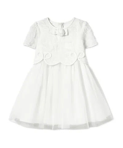 Self-portrait Short Sleeve Dress In Gray