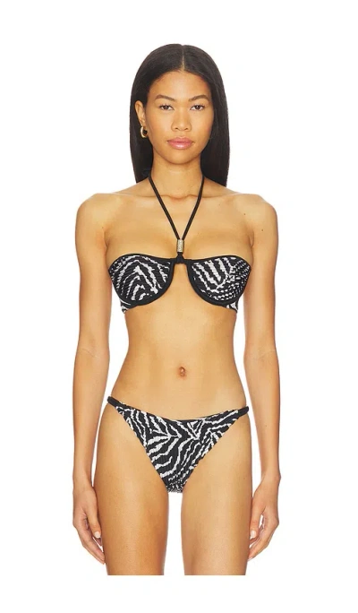 Selia Richwood Gal Halter Bikini Top In Black