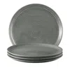 Seltmann Terra Dinner Plates, Set Of 4 In Gray