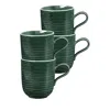 Seltmann Terra Mugs, Set Of 4 In Green