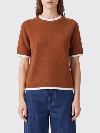Semicouture Aida Short-sleeved Wool And Cashmere Jumper With Contrast Trims In Brown