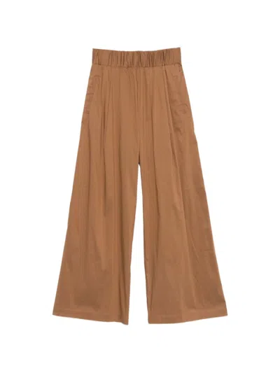 Semicouture Beige Straight Flat Front Pant In Brown