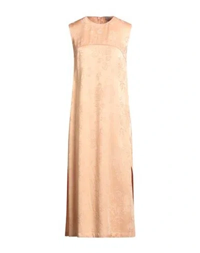 Semicouture Woman Midi Dress Apricot Size 6 Viscose, Acetate In Brown