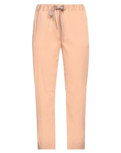 Semicouture Woman Pants Apricot Size 4 Cotton, Polyamide, Elastane In Orange