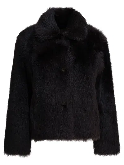 Semper Brown Lamb Fur Coat In Black