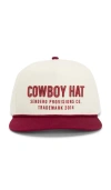 Sendero Provisions Co. Cowboy Hat Panel Hat In Multi