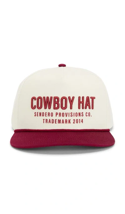 Sendero Provisions Co. Cowboy Hat Panel Hat In Multi