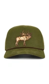 Sendero Provisions Co. Elk 鸭舌帽 In Green