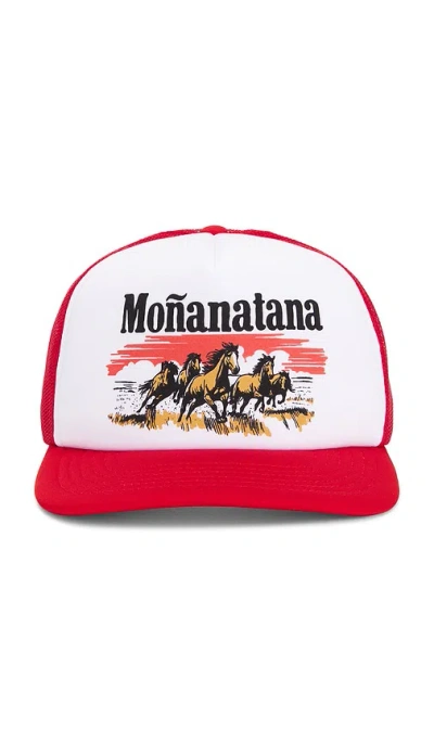 Sendero Provisions Co. Monanatana Trucker Hat In Multi