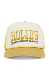 Sendero Provisions Co. Rowdy Hat In Multi