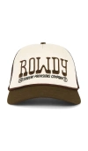 Sendero Provisions Co. Rowdy Trucker Hat In White