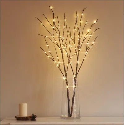 Senrotini Lighted Brown Branches Battery Operated With Timer 30in 100 Led Fairy Lights, Willow Branch Lights F In Black