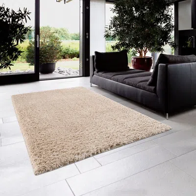 Senrotini Super Soft Polyester Shag Area Rug In Neutral