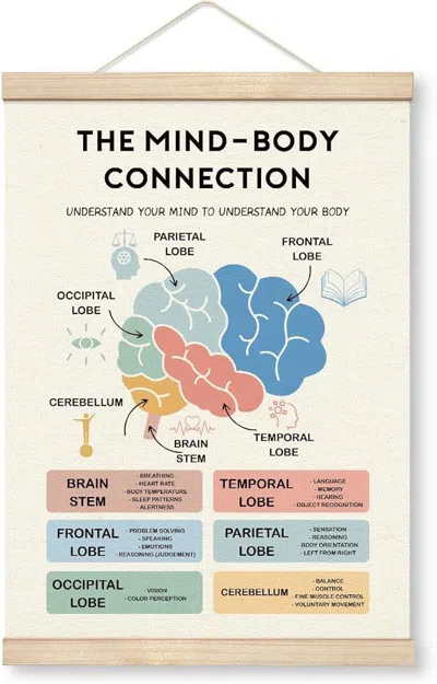 Senrotini The Mind-body Connection Poster, Canvas Poster Wood Hanger, Brain Function Educational Resources, Ps In Multi