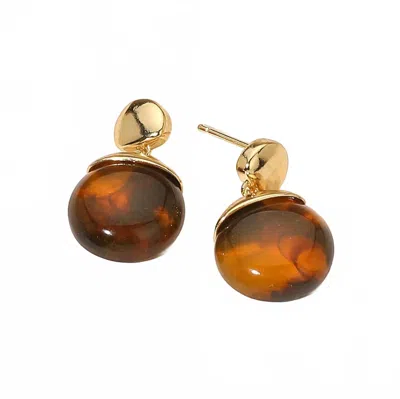 Sensibling Corp Women's Isla Marbled Resin Round Pebble Earrings In Brown/gold