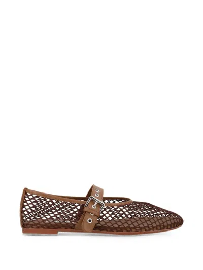 Senso Carina Mesh Buckle-strap Ballet Flats In Brown