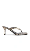 Senso Elvie Iii Sandal In Animal Print