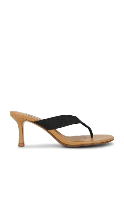 Senso Frida Sandal In Multi