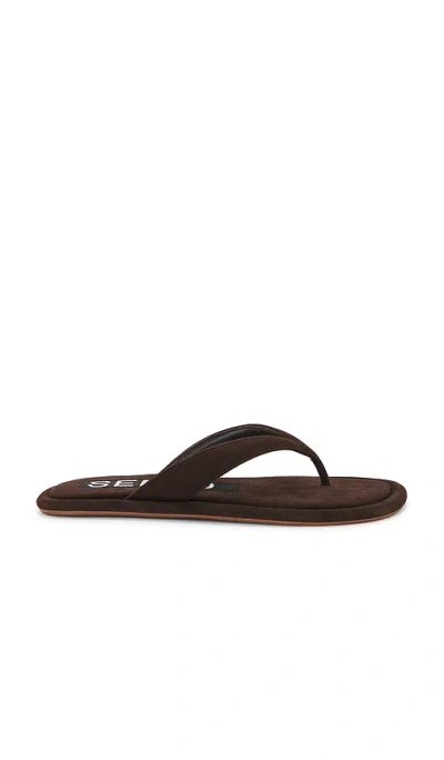 Senso Illy Sandal In Brown