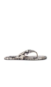 Senso Innika Iii Flip Flop In Animal Print