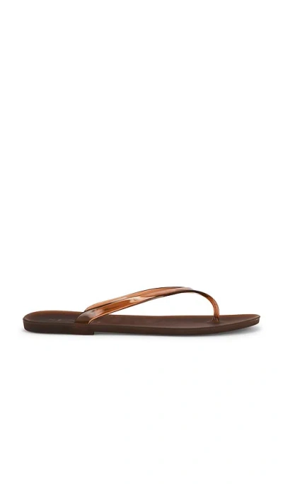 Senso Megan Flip Flop In Brown