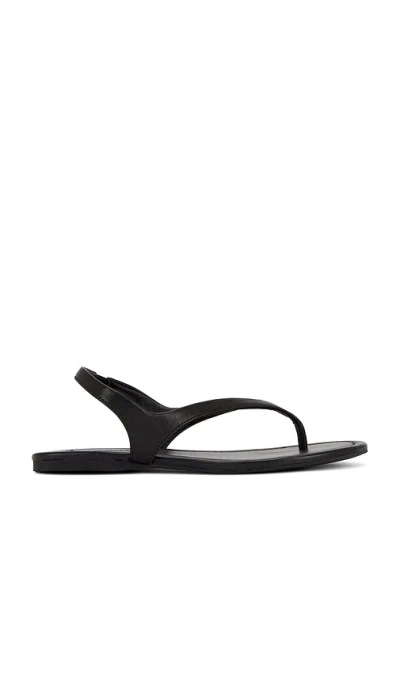 Senso Nessa Sandal In Black