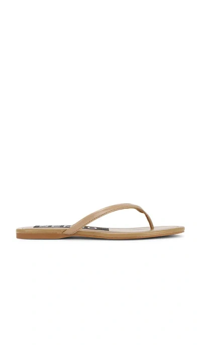 Senso Norah Ii Flip Flop In Brown