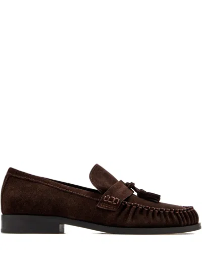 Senso Suede Loafers In Brown