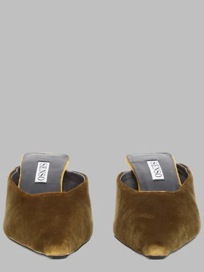 Senso In Brown