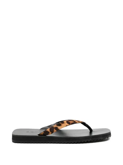Senso Xeo Ll Sandals In Brown
