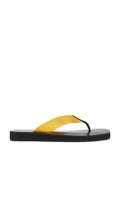 Senso Xylon Flip Flop In Yellow