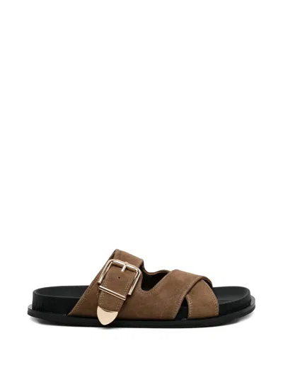 Senso Zippora Sandals In Brown