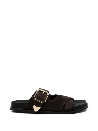 Senso Zippora Sandals In Brown