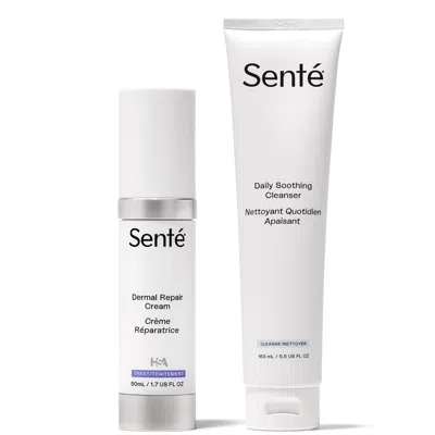 Sente Dermal Repair & Daily Soothing Cleanser Duo