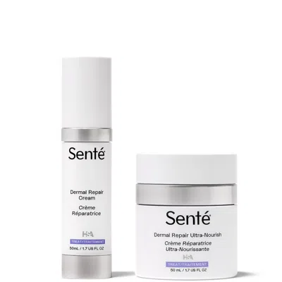 Sente Dermal Repair & Dermal Repair Ultranourish Duo