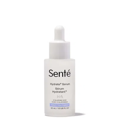 Sente Hydrate+ Serum 30ml In White