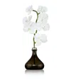 Senti Orchid Amber And Oud Diffuser
