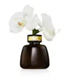 Senti Pepper & Spice The Little Orchid Diffuser In Black