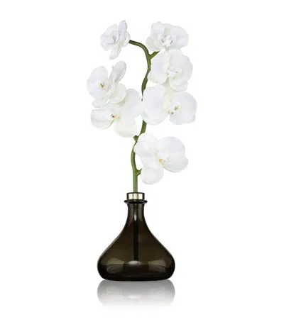 Senti The Orchid Jasmine And Geranium Diffuser In Black