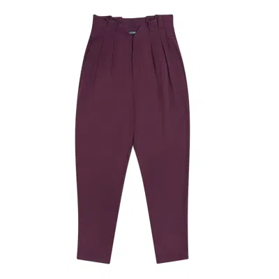 Seragyi Women's Brown Mulberry Loulou Lyocell High-waisted Pleated Pants
