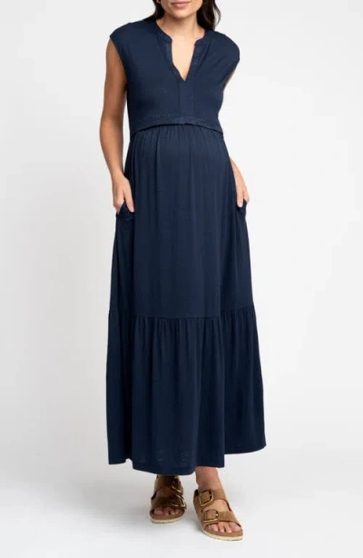 Seraphine Cap Sleeve Jersey Maternity/nursing Dress
