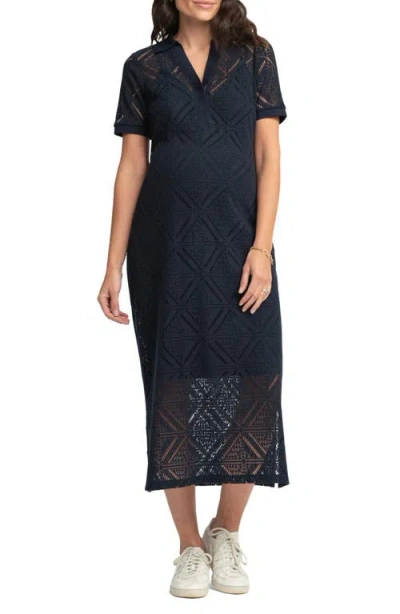 Seraphine Knit Nursing Maternity Dress In Blue