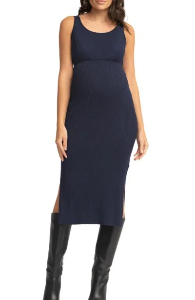 Seraphine Layered Maternity/nursing Dress In Blue