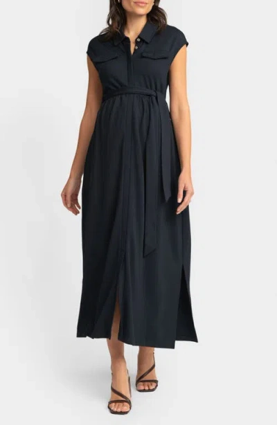 Seraphine Women's Maternity Jersey Dress In Navy
