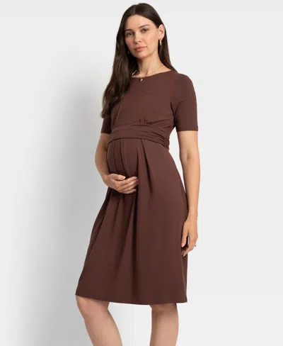 Seraphine Women's Nursing Pleat Detail Dress In Chocolate